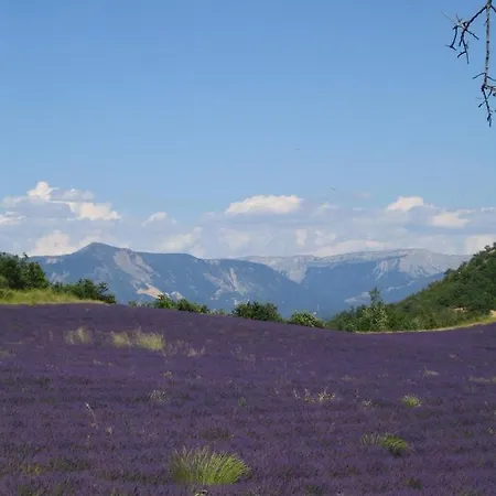 Les Vieux Murs Montfort (Alpes-de-Haute-Provence)