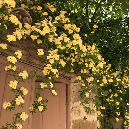 Les Vieux Murs 4* Montfort (Alpes-de-Haute-Provence)