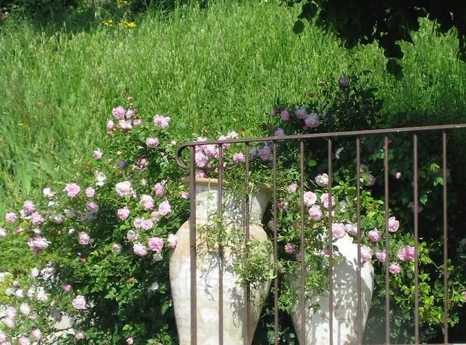 Les Vieux Murs לינה וארוחת בוקר Montfort (Alpes-de-Haute-Provence)