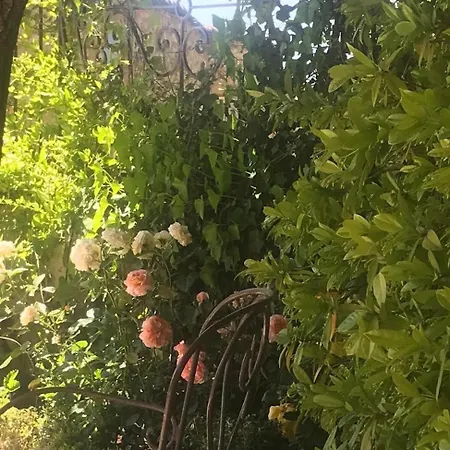 Les Vieux Murs Montfort (Alpes-de-Haute-Provence)