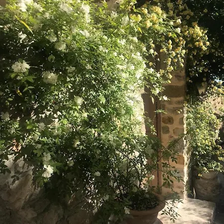 לינה וארוחת בוקר Les Vieux Murs