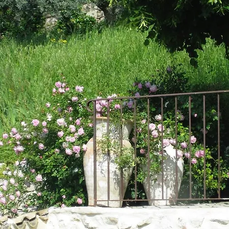 Les Vieux Murs לינה וארוחת בוקר Montfort (Alpes-de-Haute-Provence)