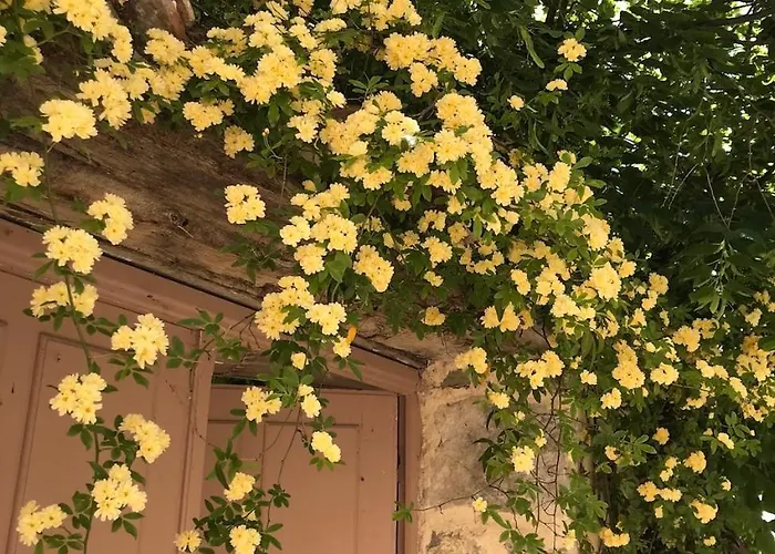 Les Vieux Murs 4* Montfort (Alpes-de-Haute-Provence)